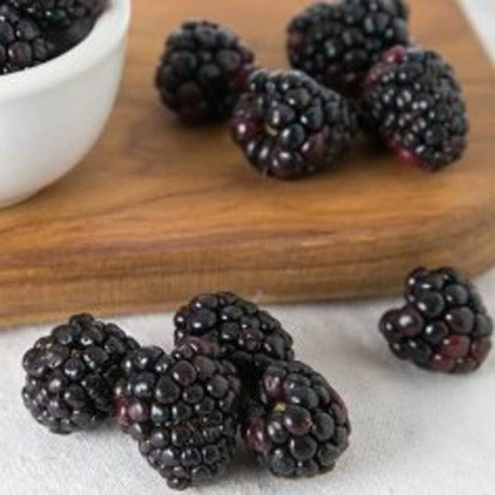 Black Raspberry Flavor Extract, Organic