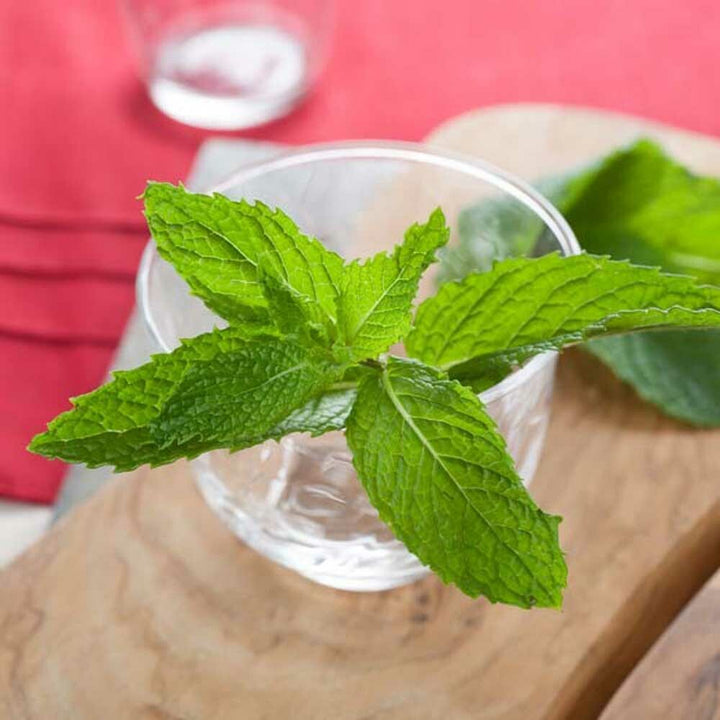 Spearmint Essential Oil, Organic