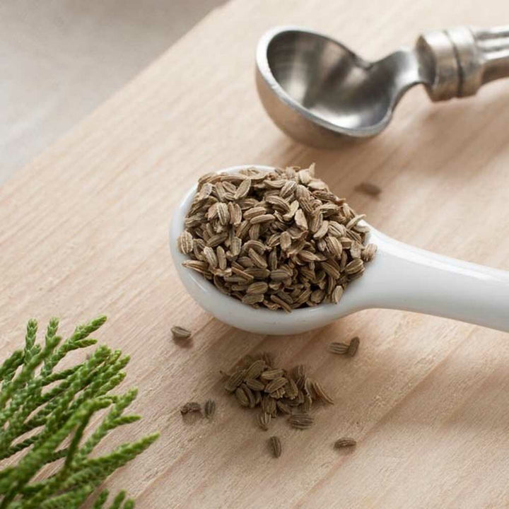 Carrot Seed Essential Oil, Natural