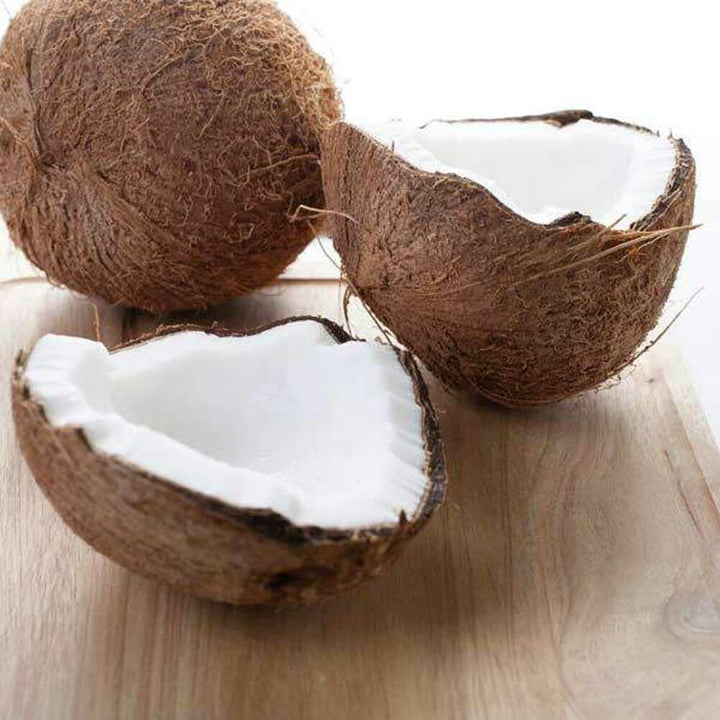 Coconut Flavor Powder, Organic