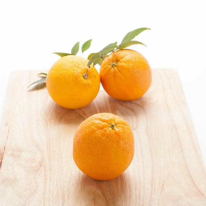 Orange Smoothie Base