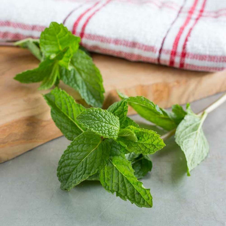 Mint Flavor Concentrate, Organic