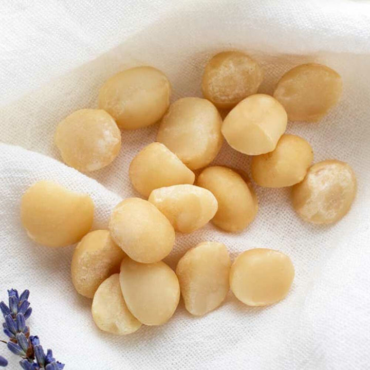 Macadamia Nut Flavor Powder, Natural