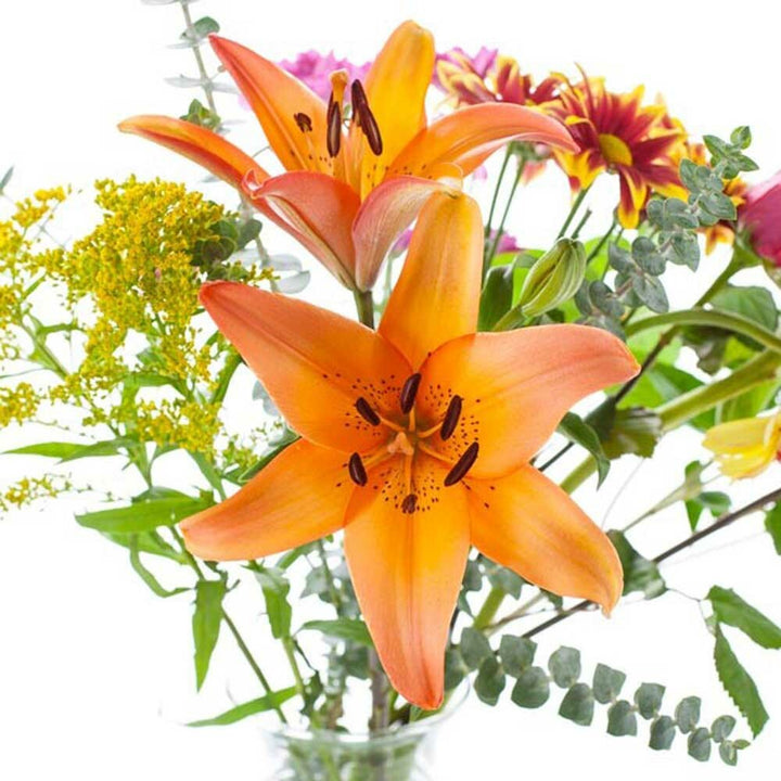 Organic Mountain Flower Fragrance Emulsion (Water Soluble)