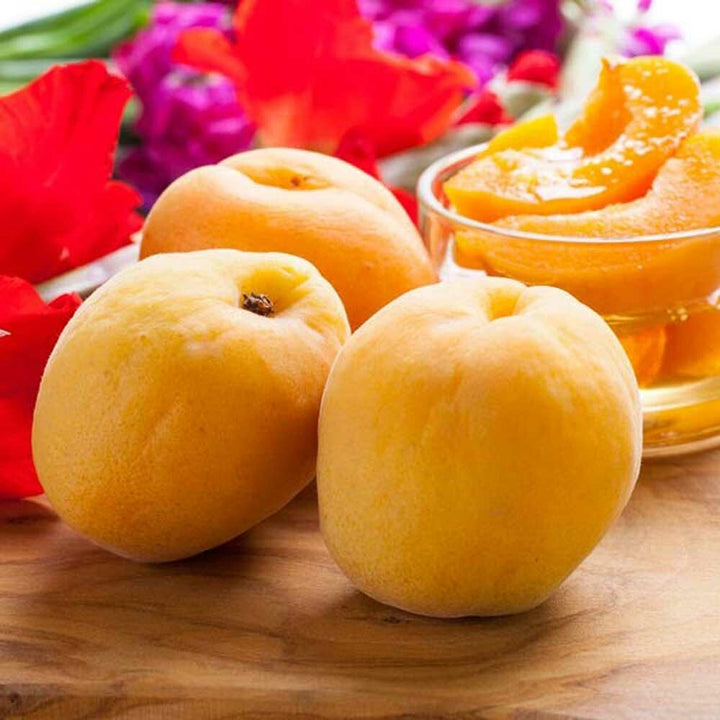 Apricot Water Flavoring, Sugar Free with Stevia