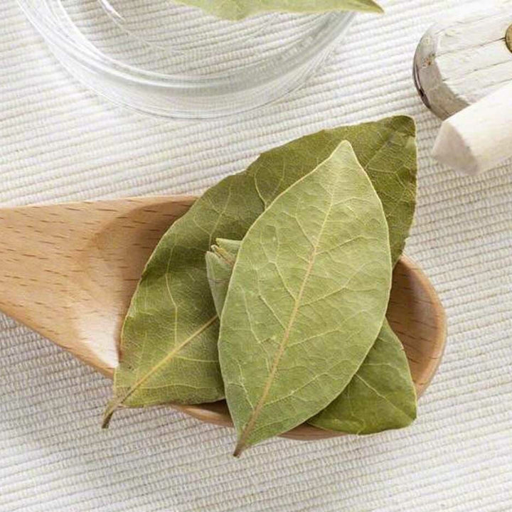 Sante Buchu Leaf Essential Oil