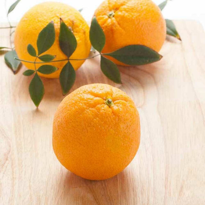 Orange Water Flavoring, Organic