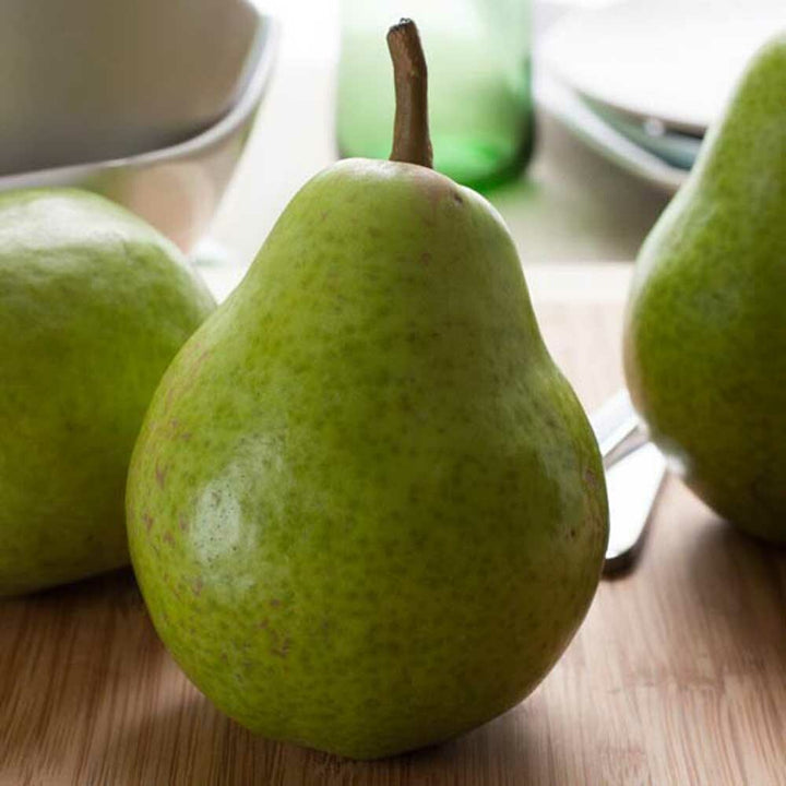 Pear Cotton Candy Floss Sugar, Organic