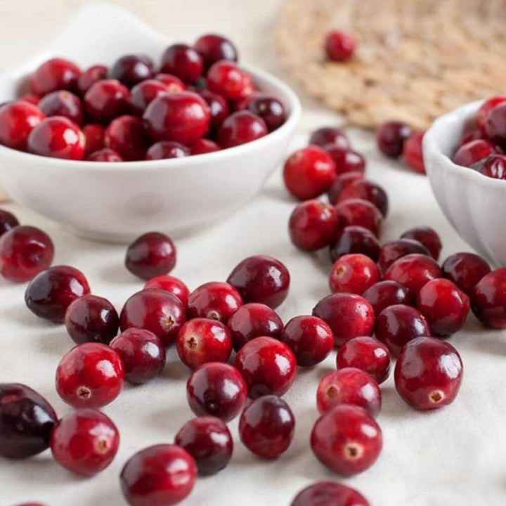 Cranberry Flavor Powder, Natural