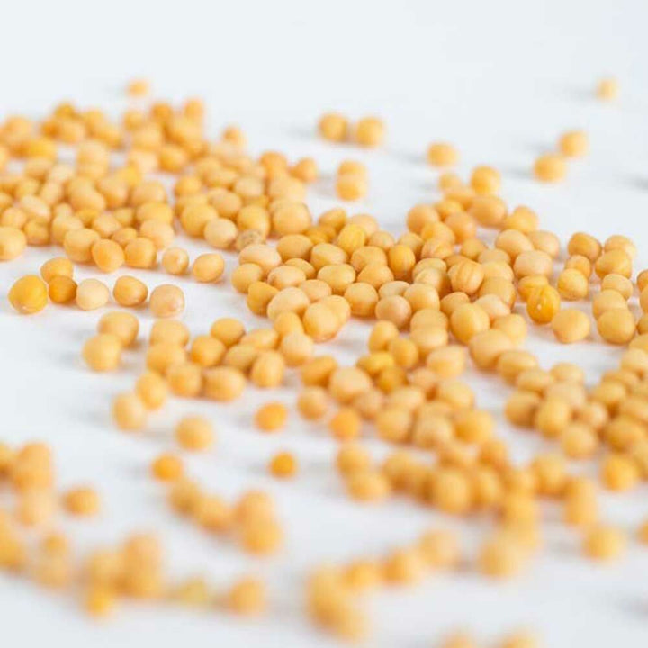 Mustard Seed Flavor Powder (Sugar-Free), Organic