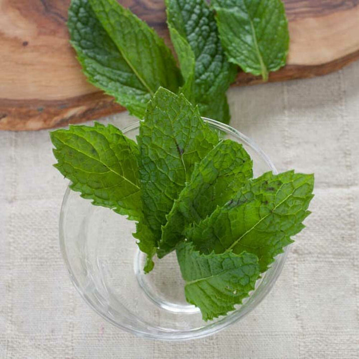 Organic Spearmint Flavor Concentrate Without Diacetyl