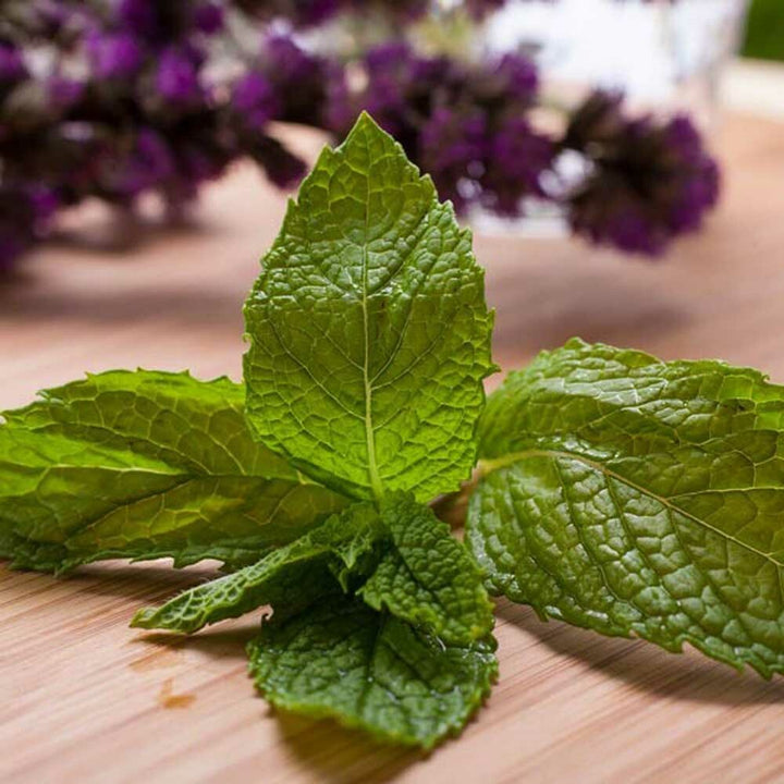 Organic Menthol Flavor Concentrate Without Diacetyl