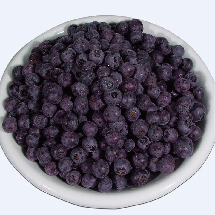 Organic Elderberry Juice Concentrate