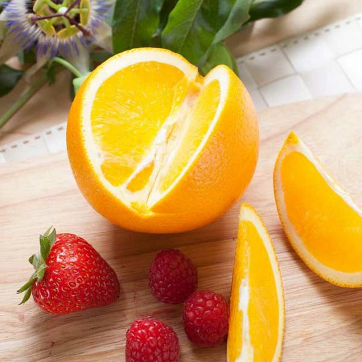 Citrus Punch Flavor Concentrate Without Diacetyl