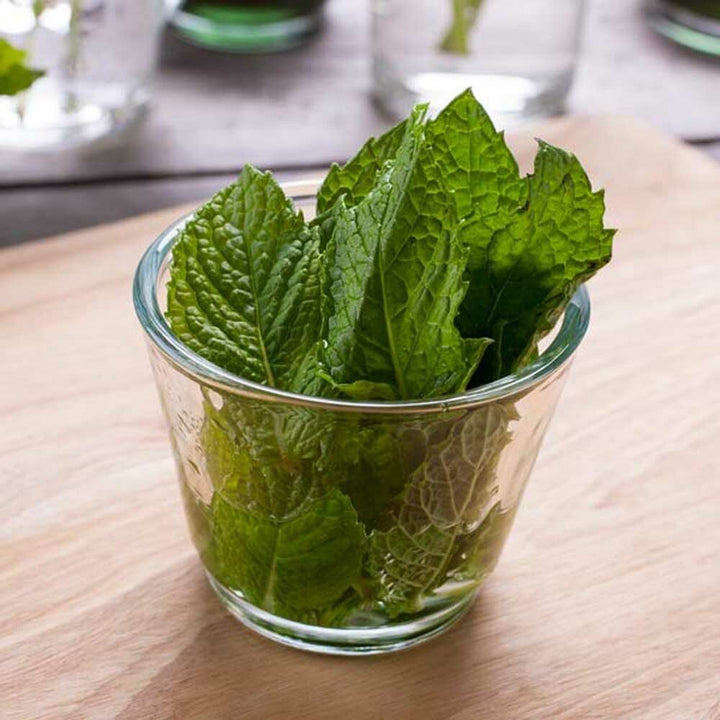 Peppermint (Prime Idaho) Essential Oil, Natural