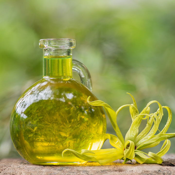 Ylang Ylang Fragrance Oil (Oil Soluble)