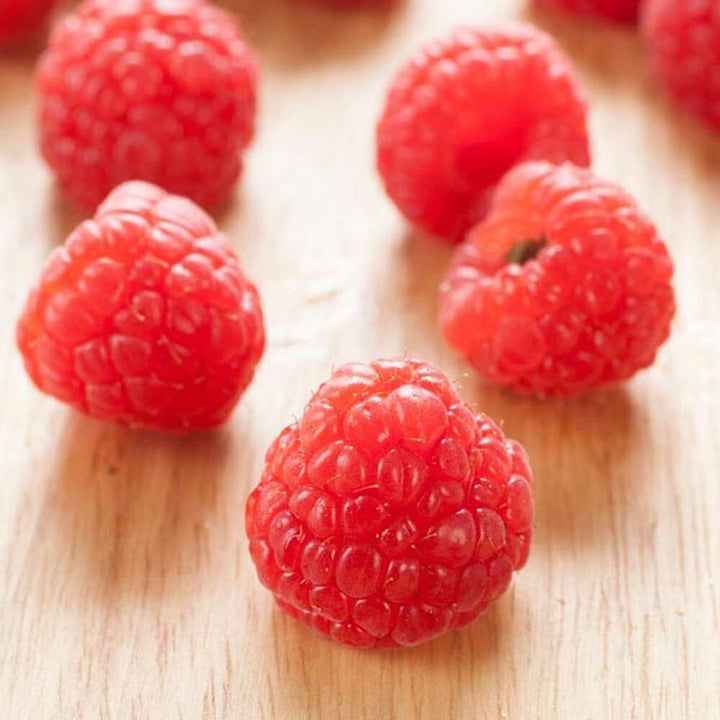 Freeze Dried Raspberry Powder