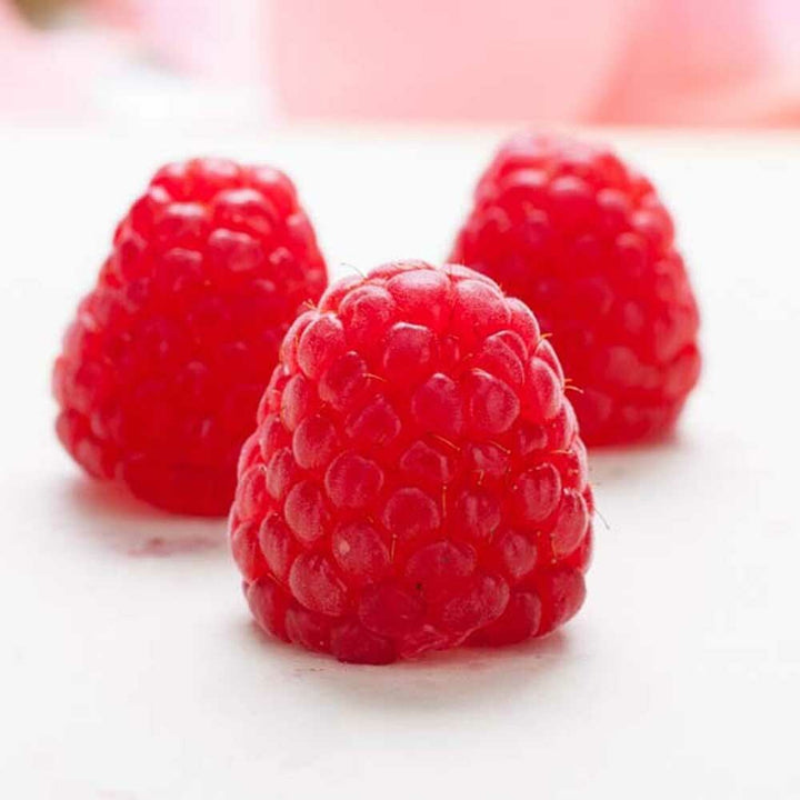 Organic Raspberry Flavor Oil For Chocolate