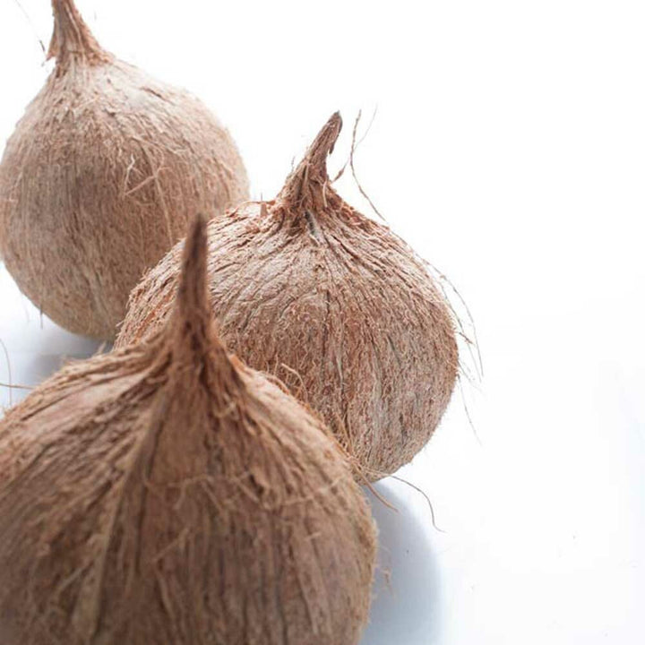 Organic Coconut Fragrance Emulsion with Floral Notes (Water Soluble)