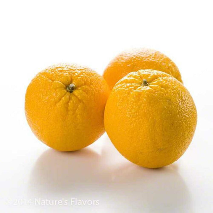 Sante Orange (Midseason, 10X Fold) Essential Oil