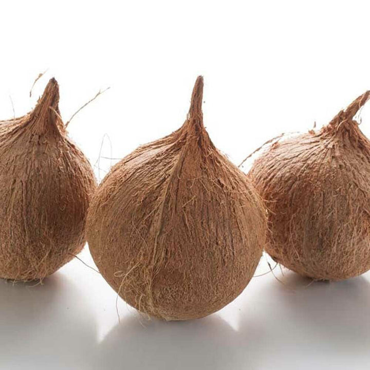 Coconut Fragrance Emulsion (Water Soluble)