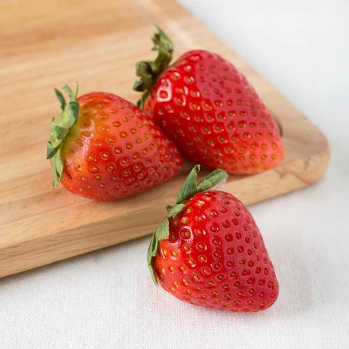 Drum Dried Strawberry Powder