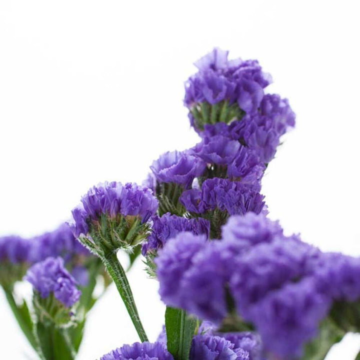 Deep Slumber Massage Oil