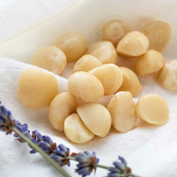 Macadamia Praline Flavor Powder, Organic