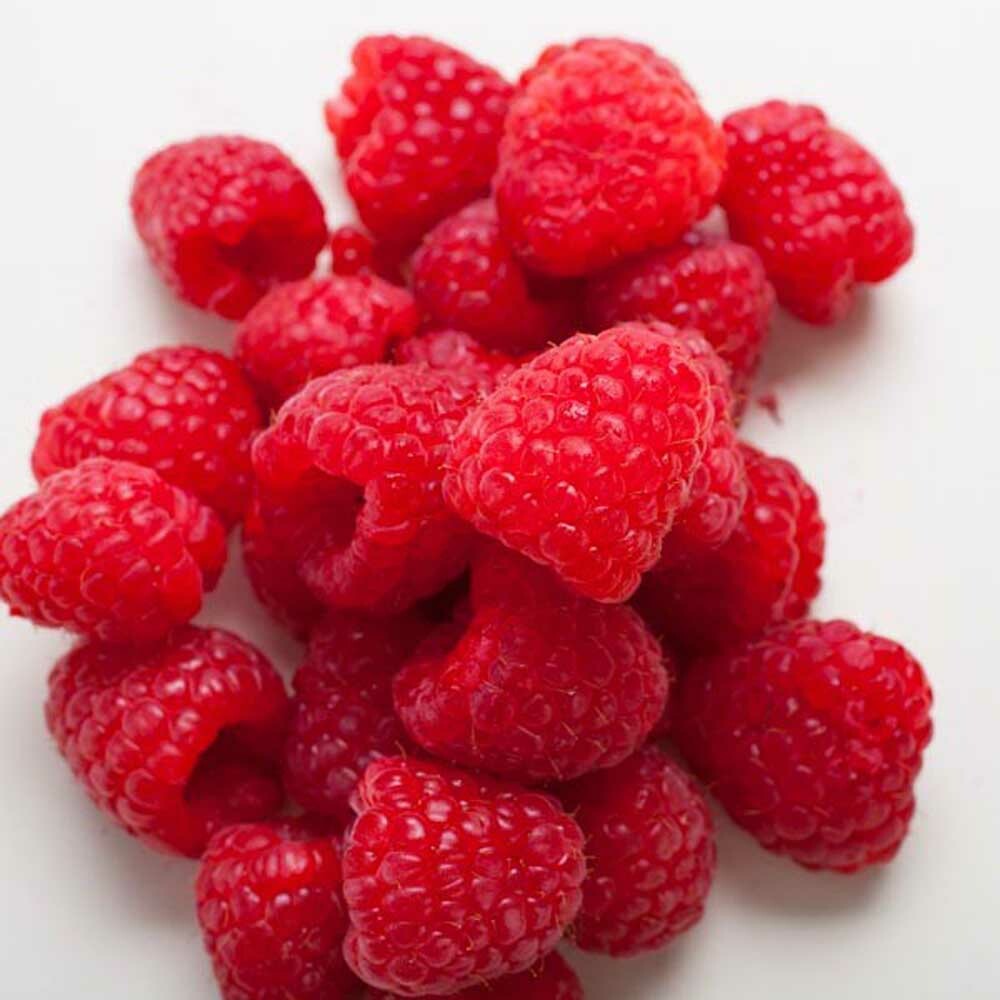 Organic Raspberry Flavor Concentrate Without Diacetyl