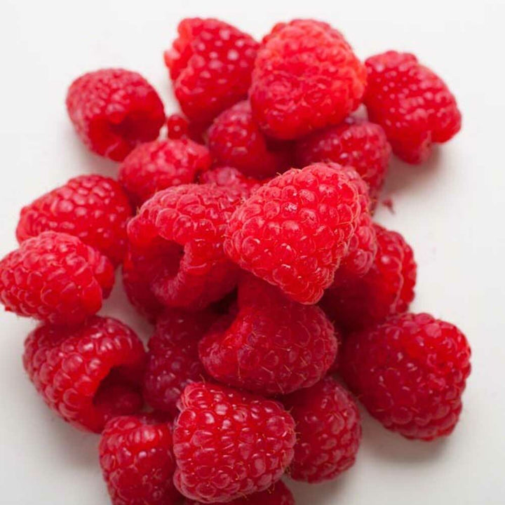 Organic Raspberry Flavor Concentrate Without Diacetyl