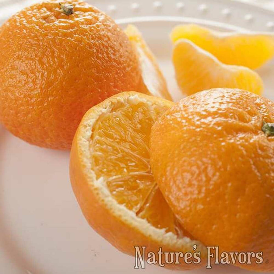 Mandarin Orange Flavor Concentrate for Beverages, Organic
