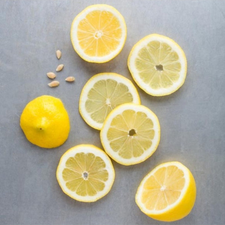 Lemon Flavor Concentrate, Natural