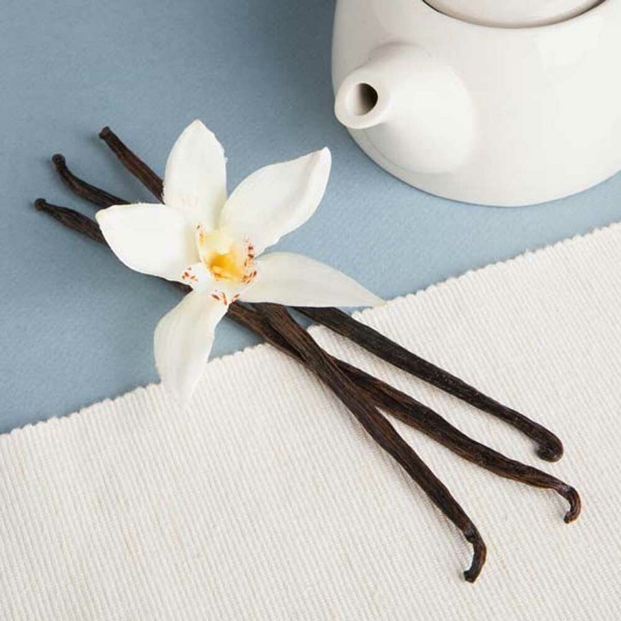 French Vanilla Flavor Powder, Natural