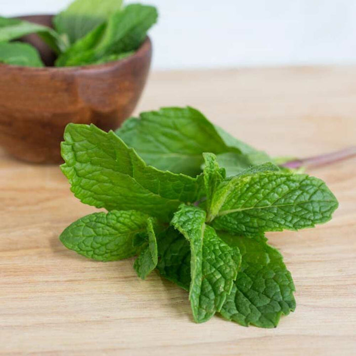Mint Flavor Powder, Natural