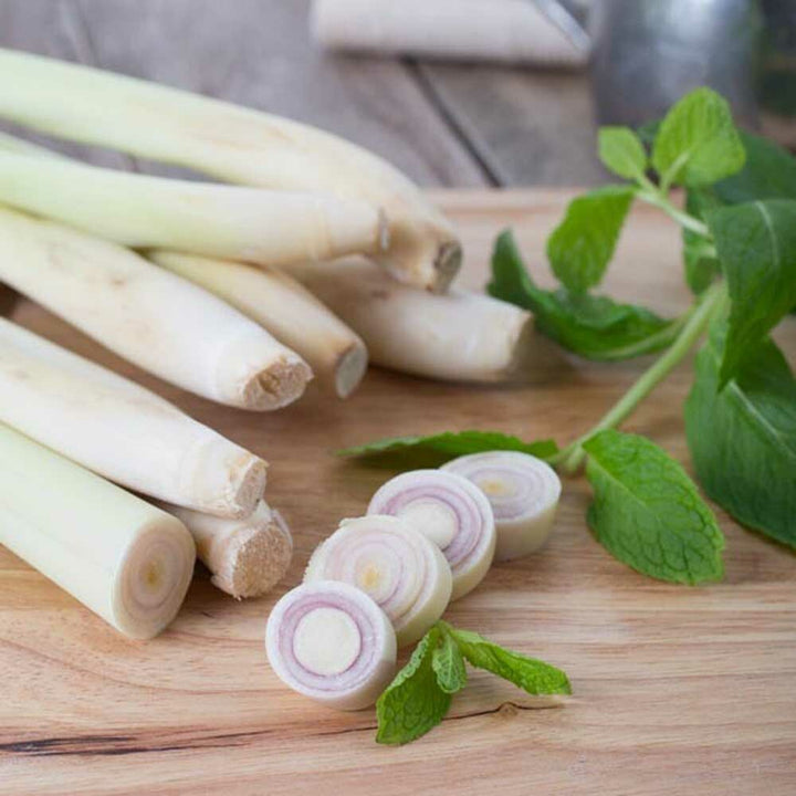Peppermint Lemongrass Flavor Oil for Lip Balm