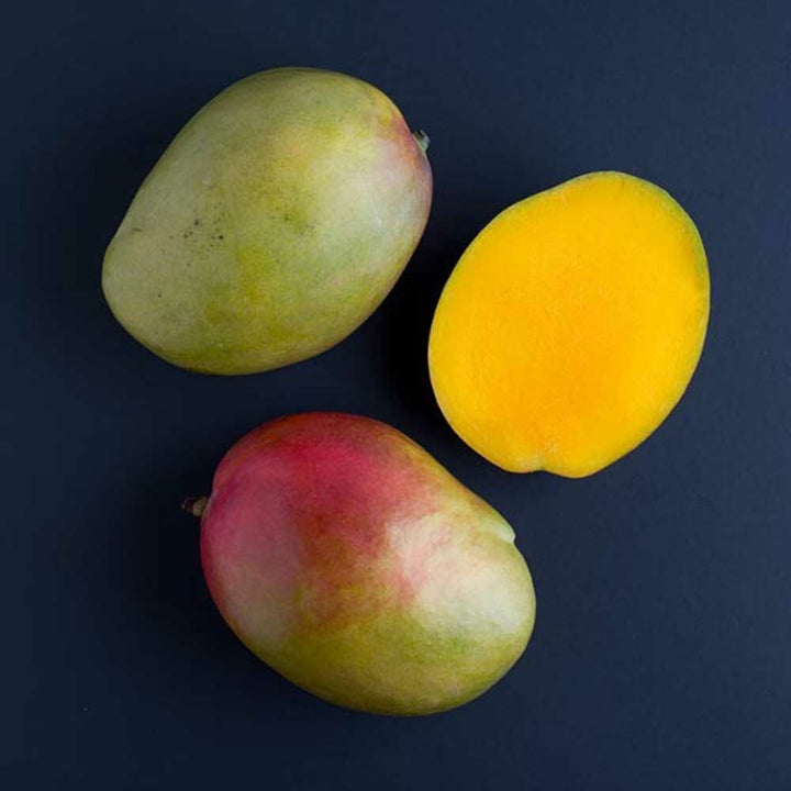 Mango Flavor Concentrate, Natural