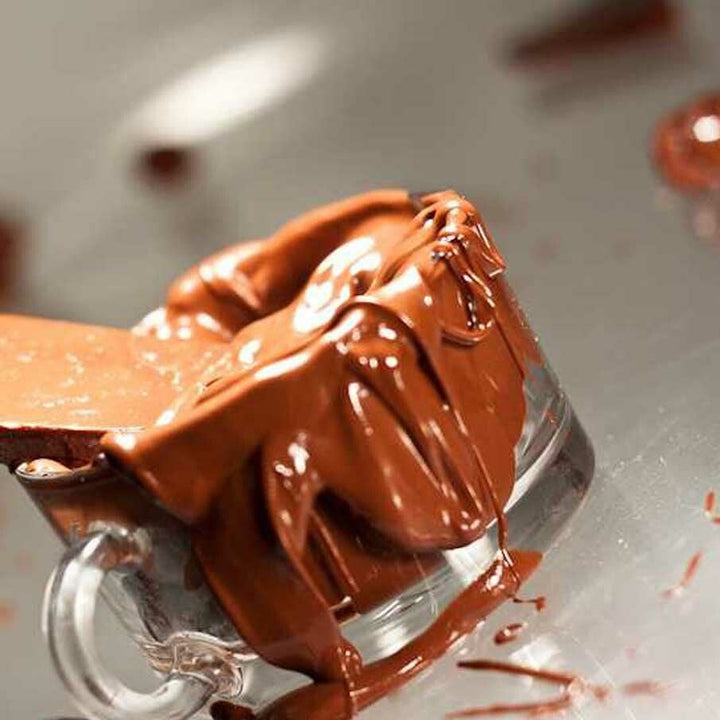 Organic Chocolate Non-Dairy Frozen Dessert (Made with Rice Flour)