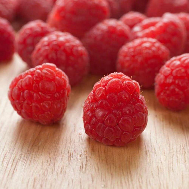 Raspberry Smoothie/Shake, Organic