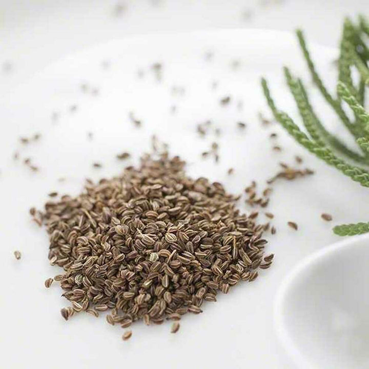 Celery Seed, Powder
