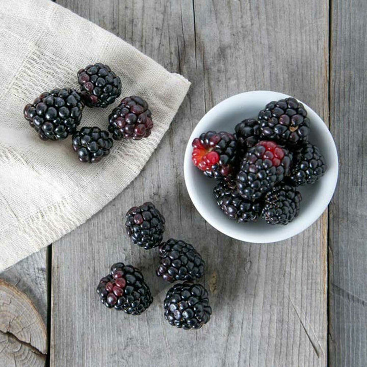 Boysenberry Smoothie/Shake, Organic