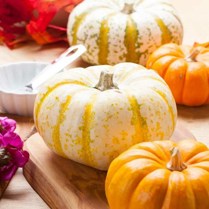 Drum Dried Pumpkin Flakes