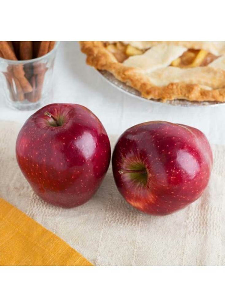 Red Apple Flavored Extract, Keto-Friendly