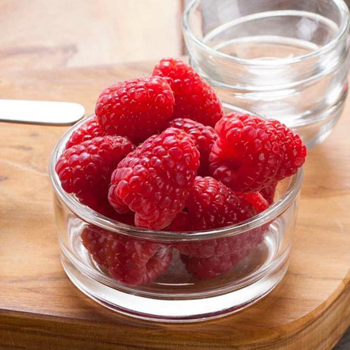 Drum Dried Raspberry Powder (Seedless)