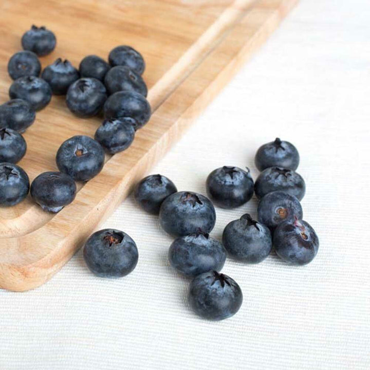 Blueberry Smoothie and Shake Base