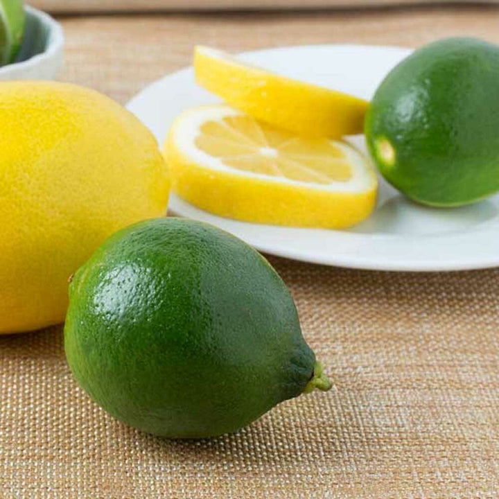 Lemon Lime Flavor Concentrate for Beverages, Organic