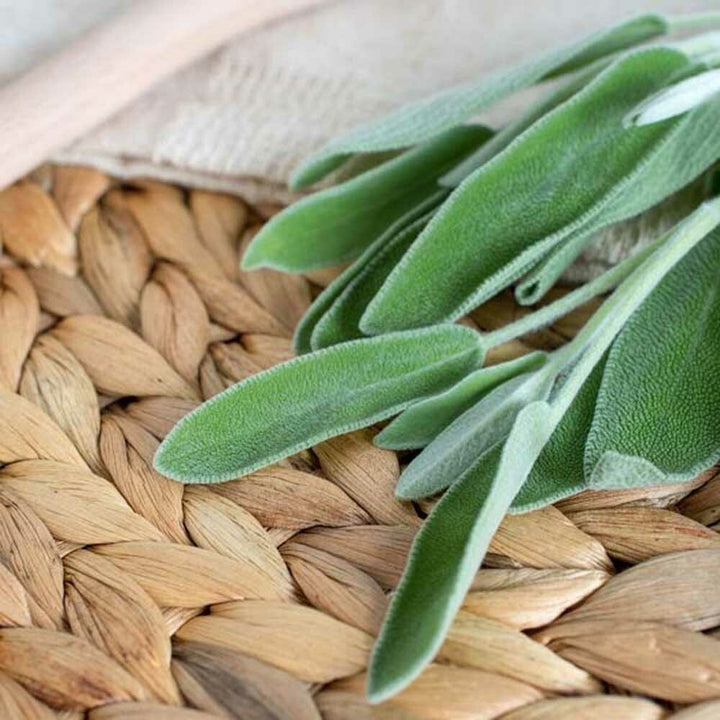 Sage Flavor Extract, Natural