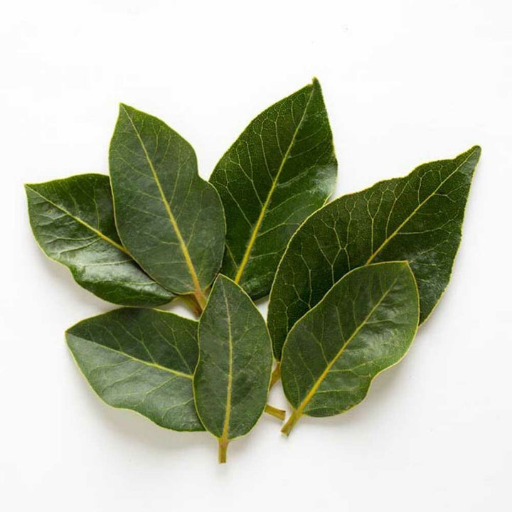 Bay Essential Oil, Natural