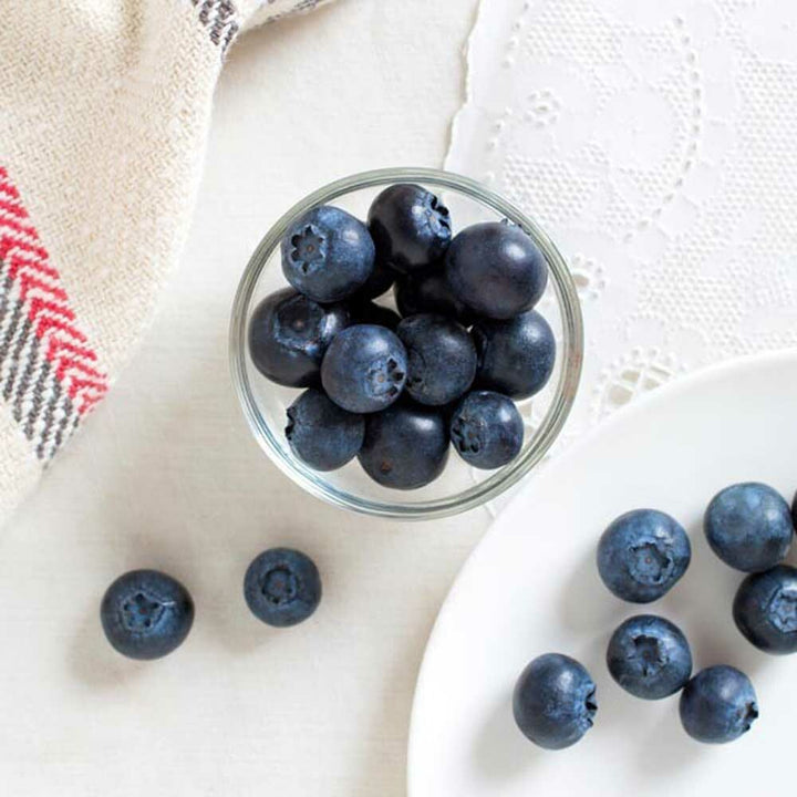 Blueberry Italian Soda Syrup Powder, Sugar-Free without color