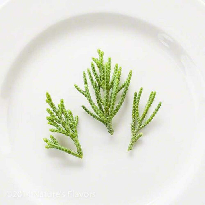Sante Cedarleaf Essential Oil