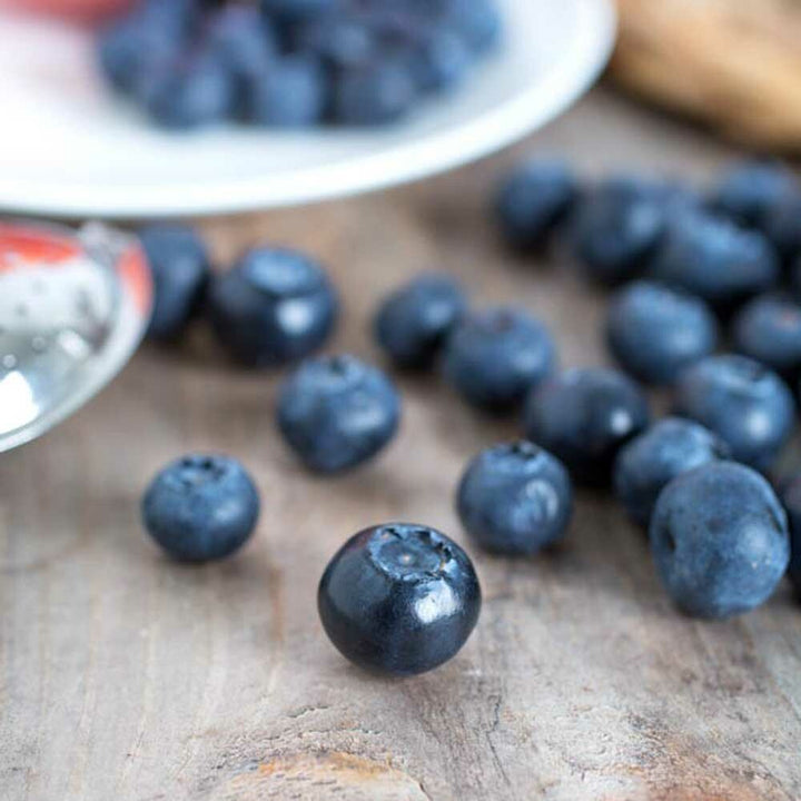 Blueberry Syrup Powder, Sugar-Free with no color